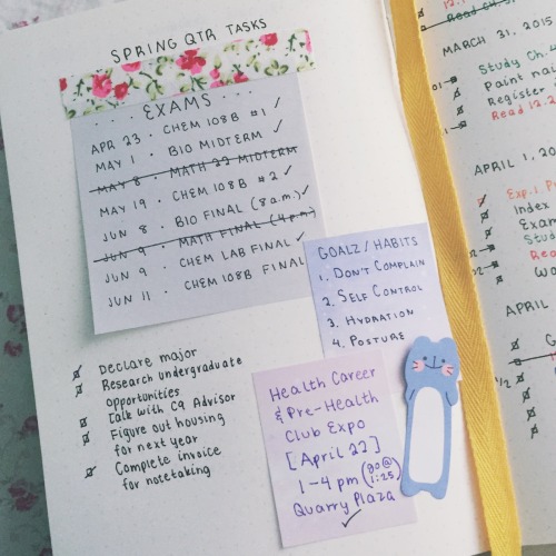 mintsprout:  a little peak inside my bullet journal 