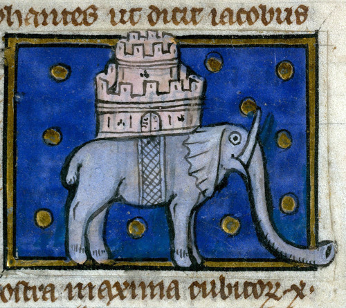 discardingimages: war elephantThomas of Cantimpré, Liber de natura rerum, France ca. 1290Vale