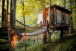 treehauslove:  Secluded Intown Treehouse. Three amazing treehouse