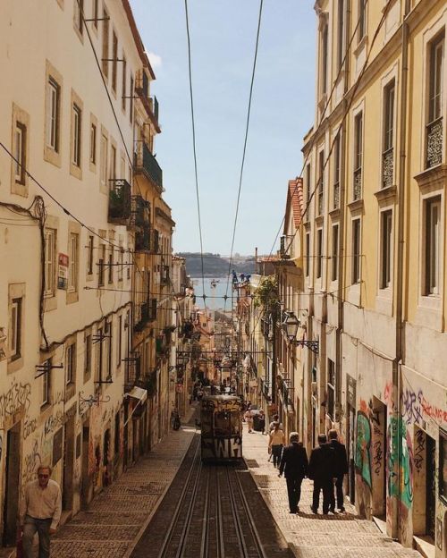 Lisboa (at Elevador da...