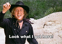 fuckyeah-nerdery:  There is no way that Blazing Saddles could ever be made today