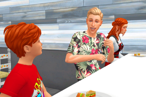 pausesims