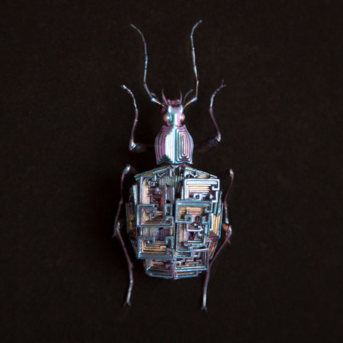 archiemcphee:Paris-based Japanese artist Nozomi created an exquisite series of iridescent crystaline