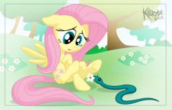 cocoa-bean-loves-fluttershy:  First Encounter by Killryde  D'awwww! :3