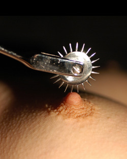 Pleasuring My sultry slut&rsquo;s nipple &hellip;..