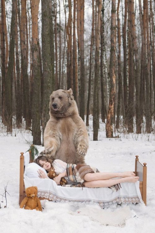 asylum-art-2:  Bearish -Olga Barantseva Russian adult photos