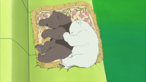 Shirokuma Cafe Episodio 25 Oso Polar y Oso Pardo Kawaii