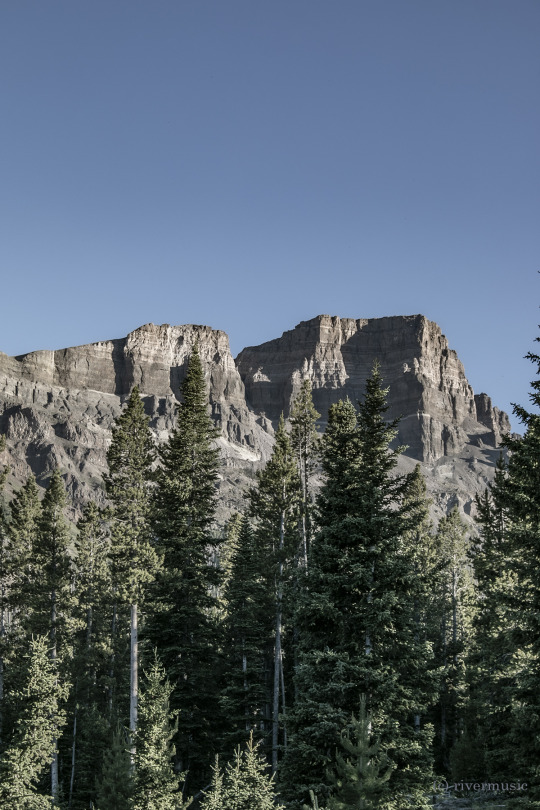 Keep Looking Up: (c) riverwindphotography, July 2020
