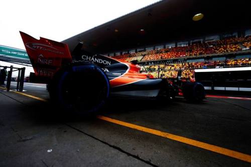 McLaren Team.