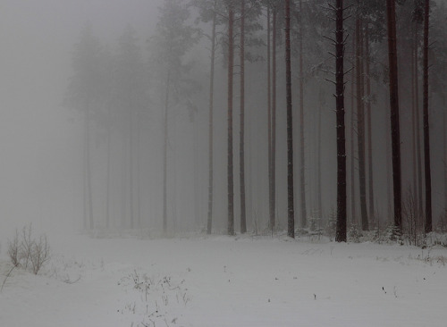 Fog by Harald Gjerholm on Flickr.