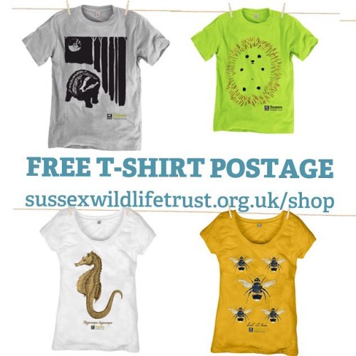 It’s #FREE postage on all our T-shirts this weekend. Starting now! Look good & help #Susse