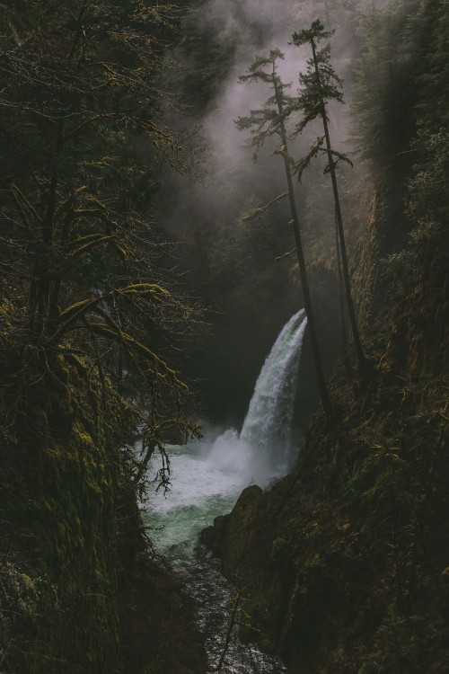 spudthesoundguy: Just another dark and gloomy day in Oregon  Instagram Twitter