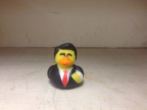 weird-classics-classes: our magistra has this duck that looks like ronald reagan and our class was t