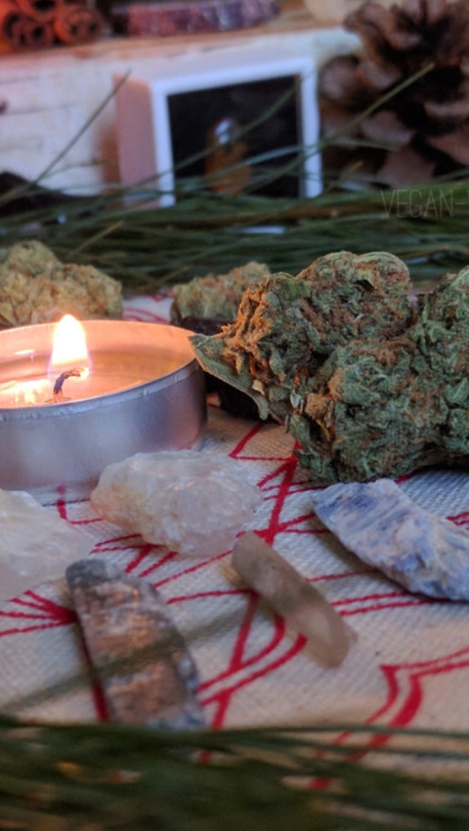 Sacred Herbs for our Sex Ritual