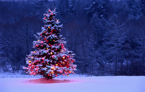 rosieandherramblings:  Merry Christmas!
