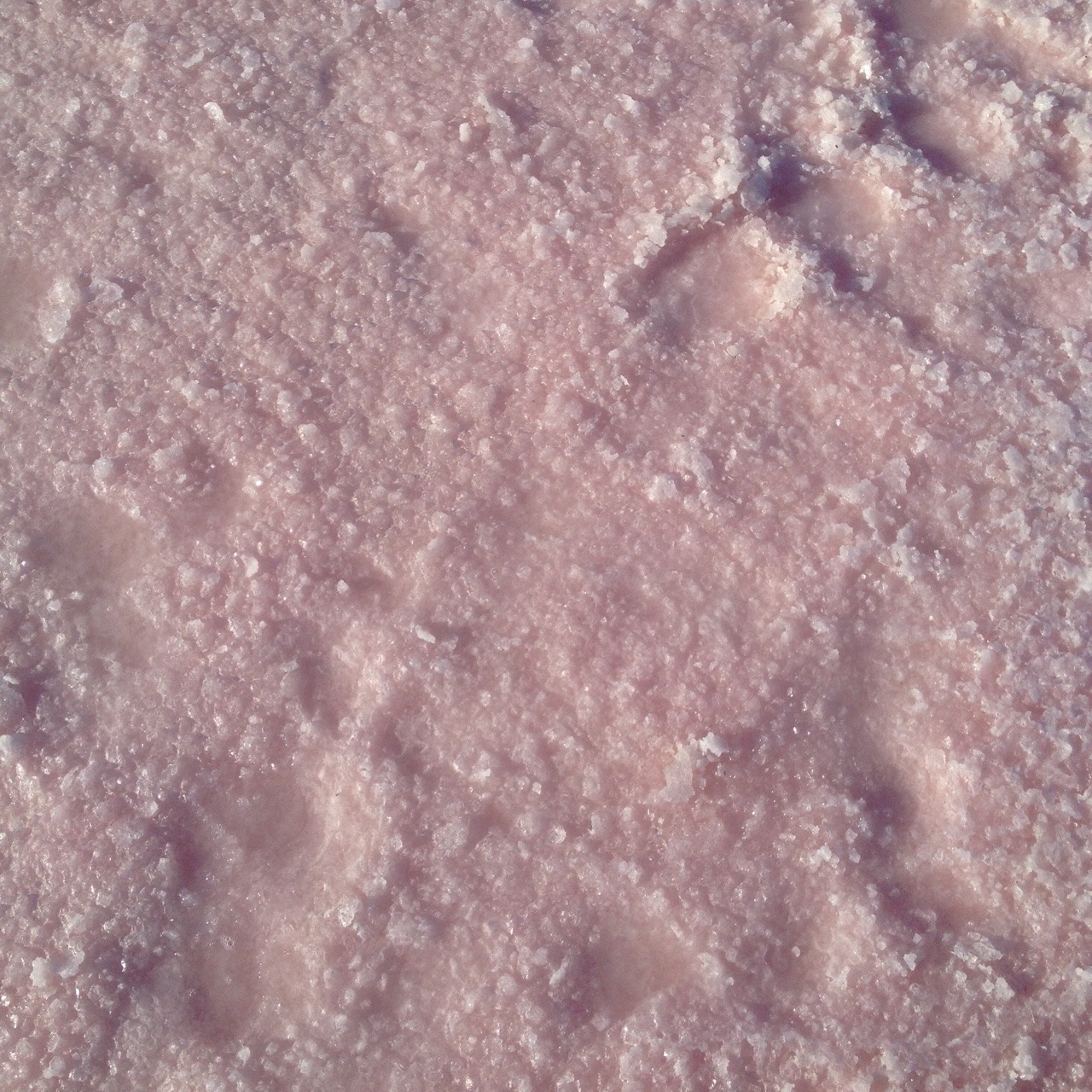 trupup:  i found a pink salt lake yesterday! it was so pretty and fun 