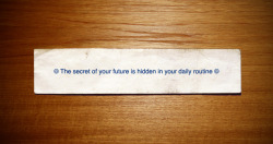 nevver:  Fortune cookie 