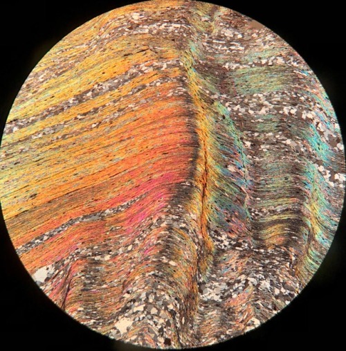 S-tectonite with muscovite and quartz in thin section