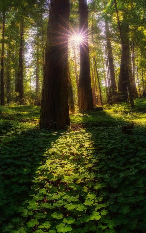earthpictureshere
