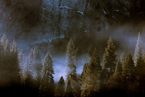 niravpatelphotography: Yosemite mornings. 