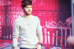 zaynmalikdaily:  copenhagen 16/06/2014 