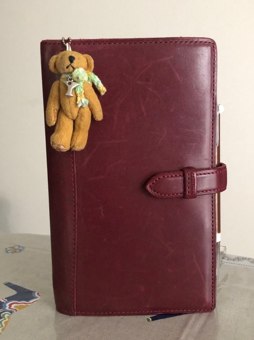 Planner And Teddy Bear Of This Week