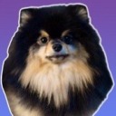 yeontan-my-love avatar