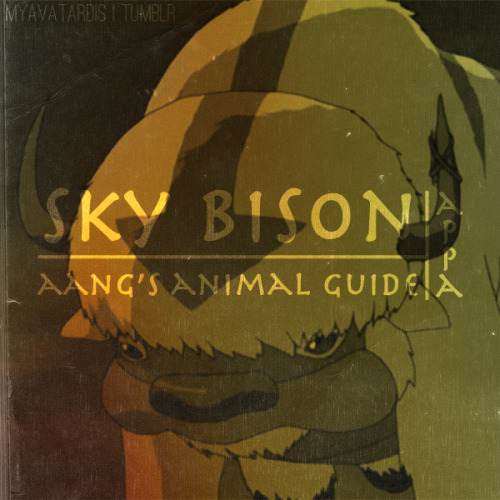 myavatardis:  The Avatar’s Animal Guides 