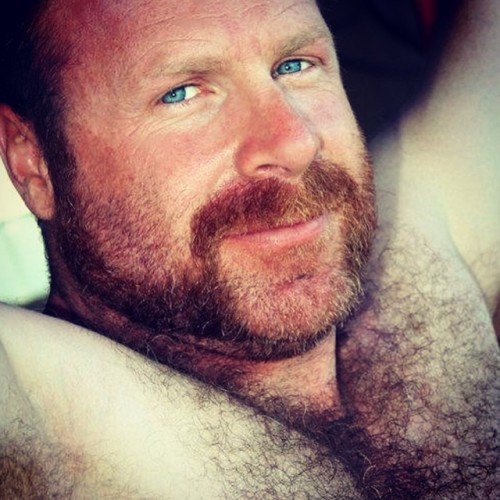 backfur:Follow www.backfur.tumblr.com for daily updates of BEAR/HAIRY/HORNY/DADDY 