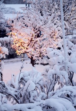 wintersnowland:  wishing you a wintery christmas