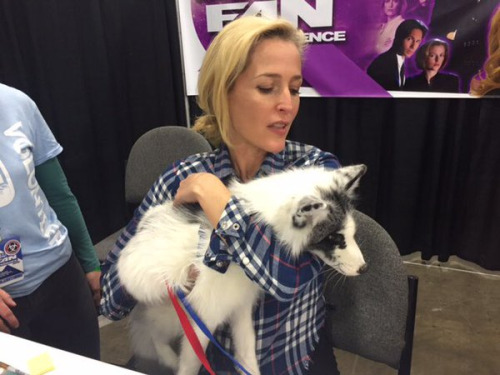 defnotmeyo: medicaldoctordana: Gillian &amp; Dogs This makes me happy