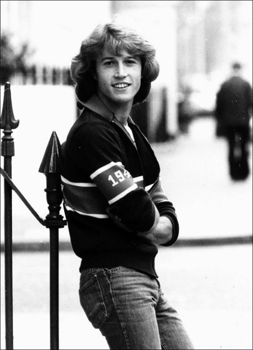 Andy Gibb (1958 - 1988)