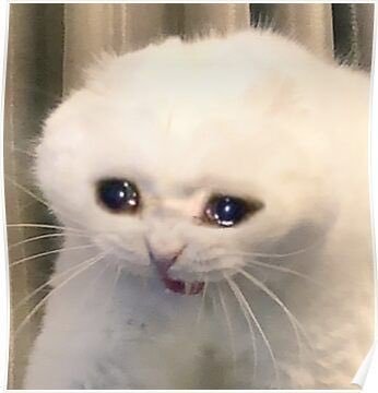 :