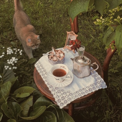 For Heidi @notherwarriorcatwebsite​ 