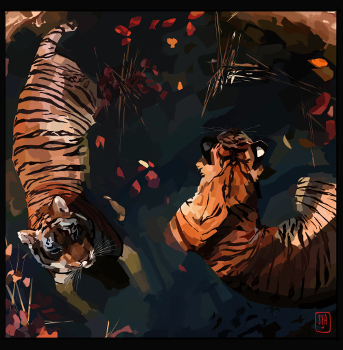 Kitty Study From Yesterday...