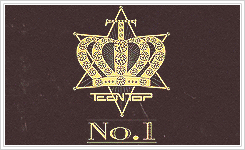       c.a.p in the &lt;no.1&gt; album teaser        