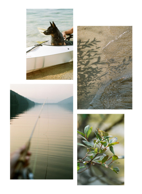 August. Upper Priest Lake, ID2017