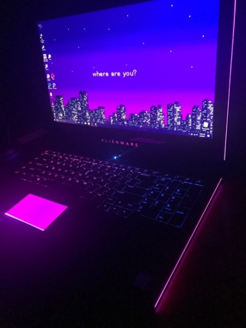 purple feed