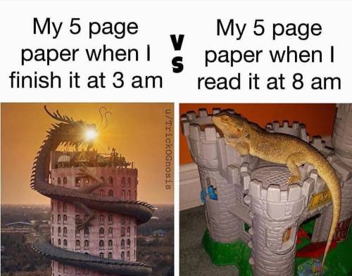 pom-seedss:Me submitting my 5 page paper anyway