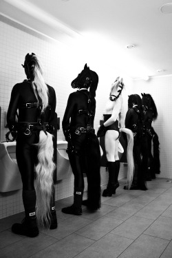 thebondageboss:  selinaminx:  humanpony:  severedkitten:  Marcus Kauth  stallions  Somebody had to piss like a racehorse … - SelinaMinx  This is a great photo! 