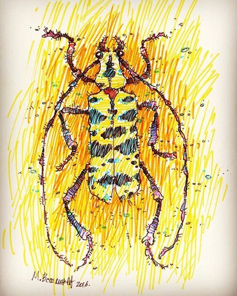 #insectober day 26 . #inktober2016 #inktober #drawingchallenge #sketch #sketchbook #drawing #illustr