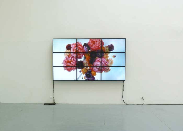 installationist:  Diana Thater Studio 