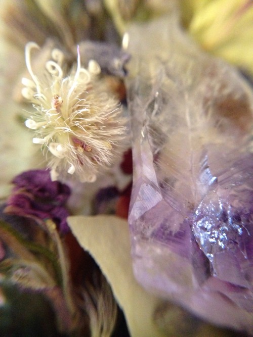 floralwaterwitch: Floral tea infused with crystals ✨