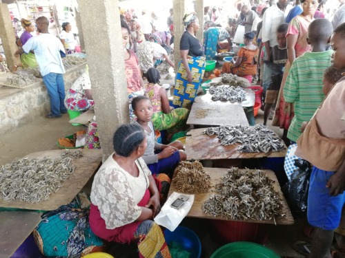 East Congolese Fishermen Denounce Lack of Safety on Lake TanganyikaFishermen on Lake Tanganyika in D