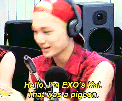 blondejongin:  kai’s animal intro on Younha Starry Night  