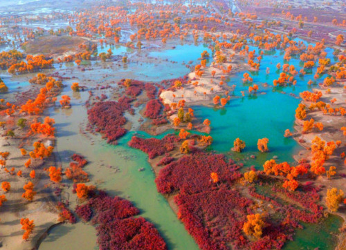 Xinjiang,China.Photo by 视觉中国.