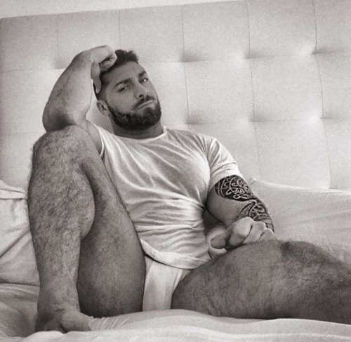 rachid94cho:  Mmmm les bo bears porn pictures