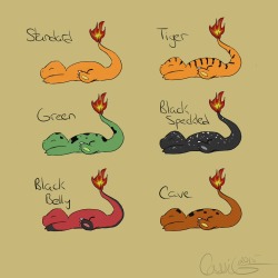 darkomaraven:  Finally jumped on the bandwagon and did some variations of Charmander! Based these cuties off of some salamander species, enjoy. ^^