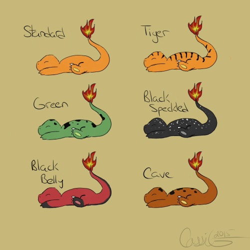 lozfanjt13:darkomaraven:Finally jumped on the bandwagon and did some variations of Charmander! Based these cuties off of some salamander species, enjoy. ^^  The tiger variant looks like clone Charmander from the movie