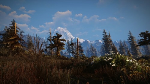 skellige